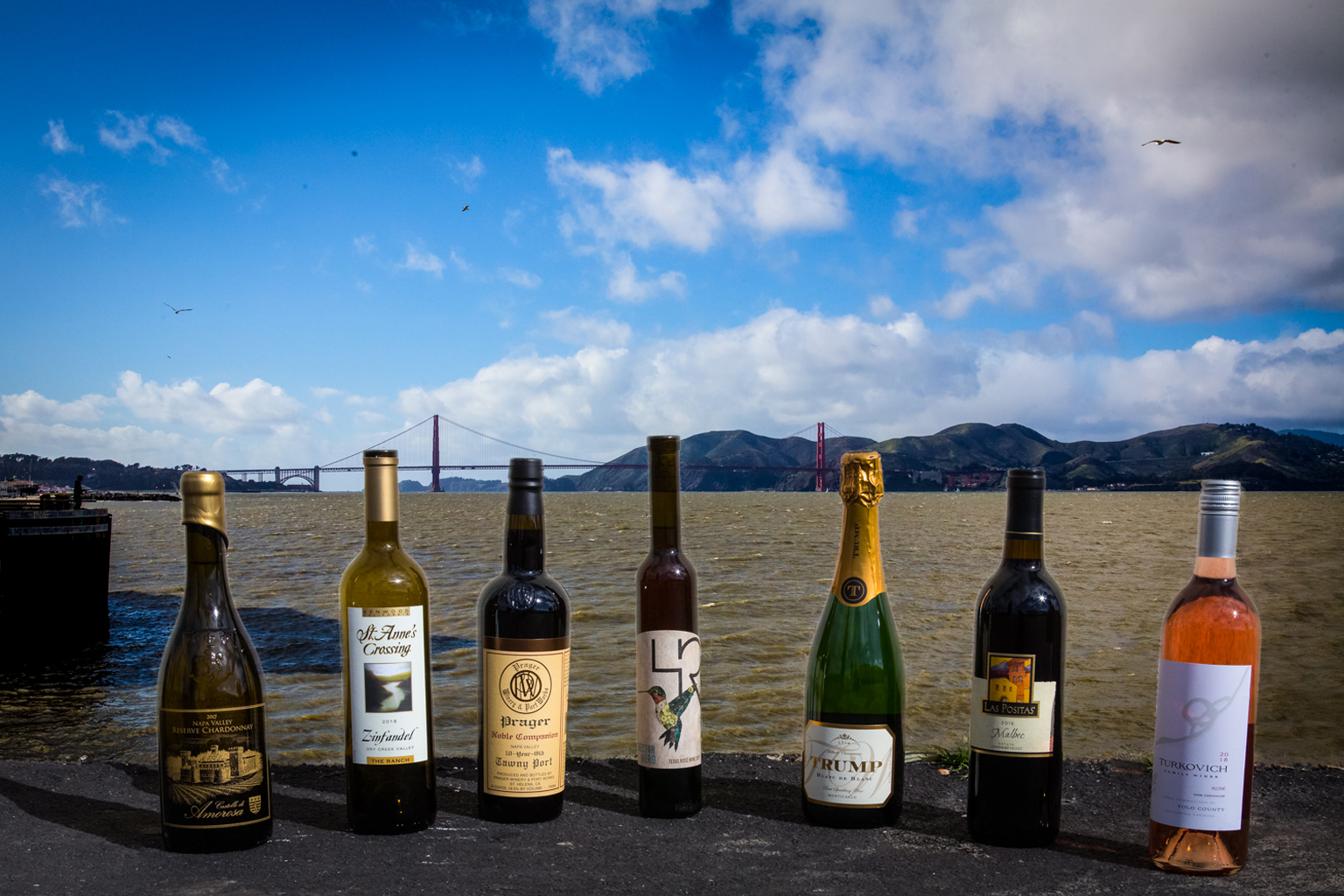 2019 SFCWC Public Tasting