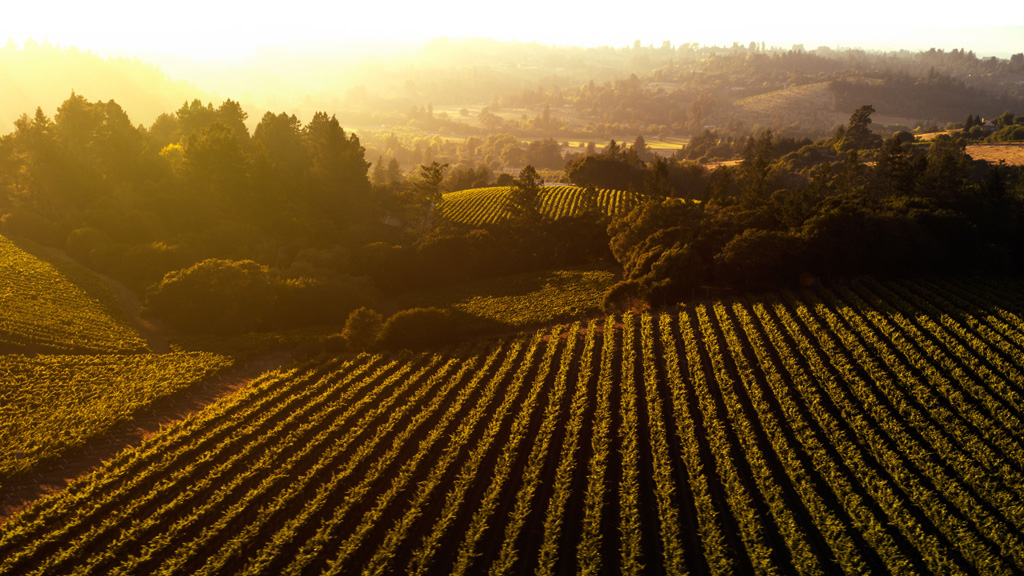 Balletto Vineyards